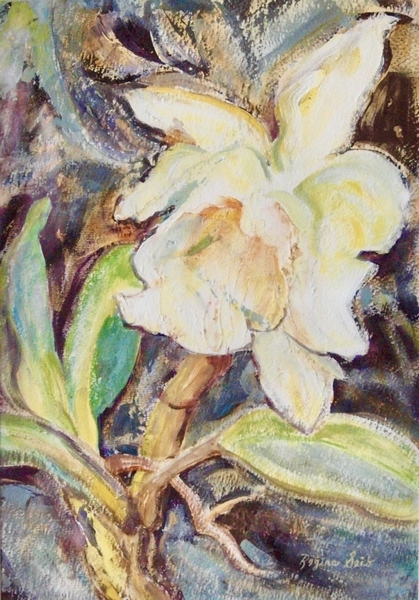 White Orchid